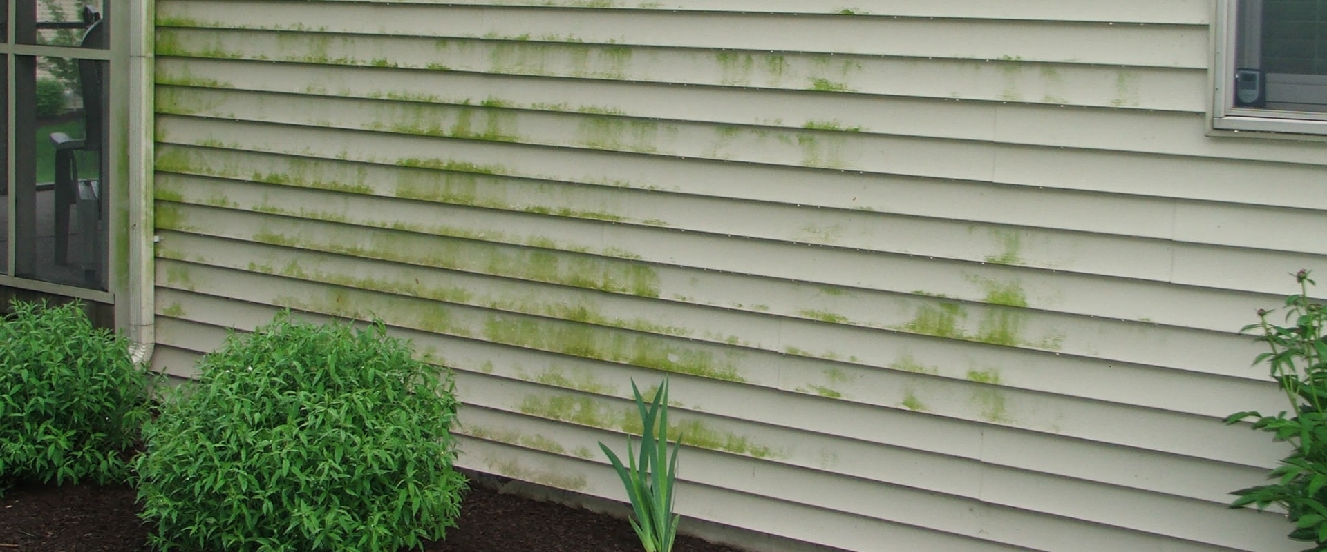 Signs that your siding needs to be repainted or refinished