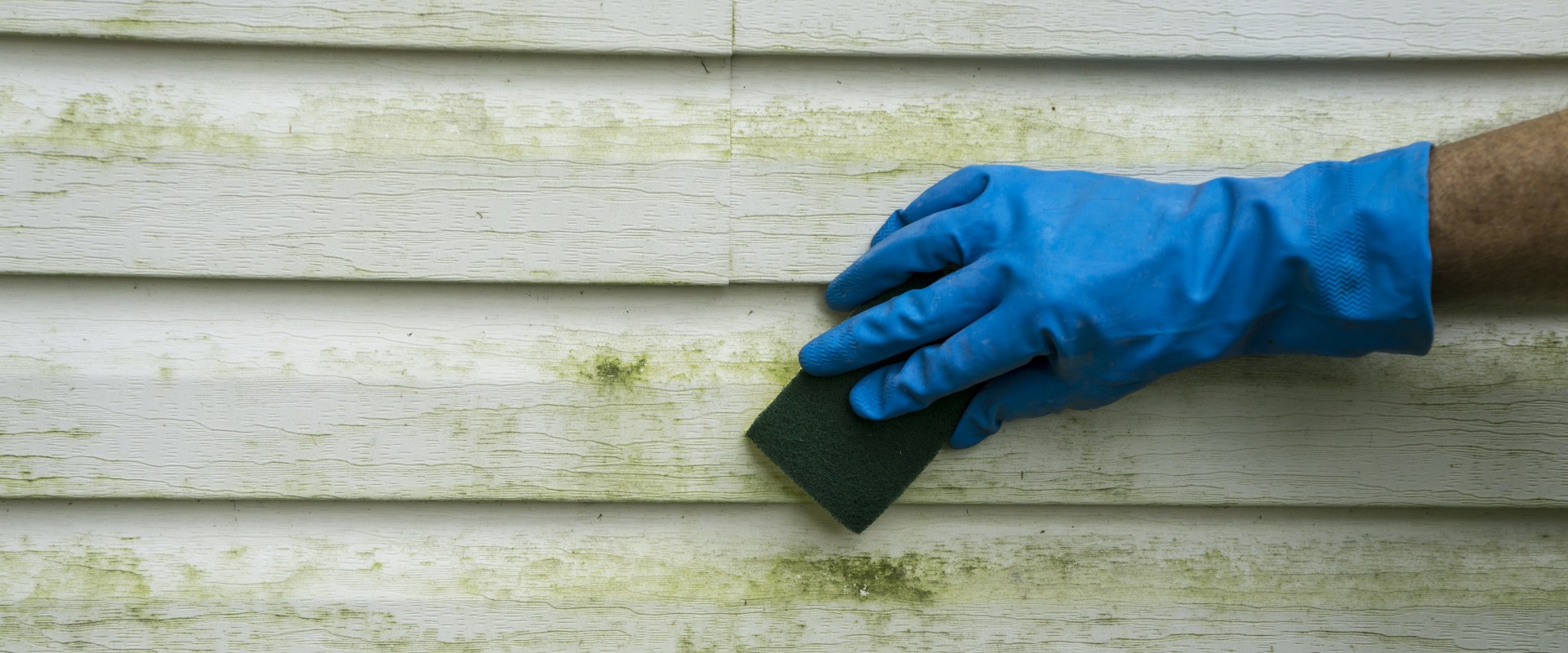 Frequency and Methods for Cleaning Siding: A Complete Guide