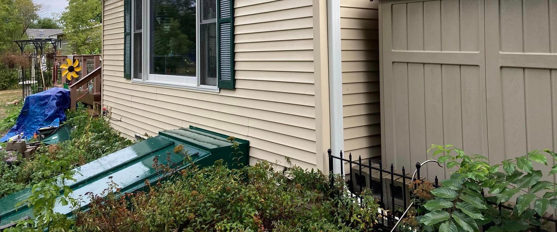 Preventing Mold and Mildew Growth on Siding: A Comprehensive Guide