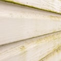 Identifying and Addressing Common Types of Damage to Siding