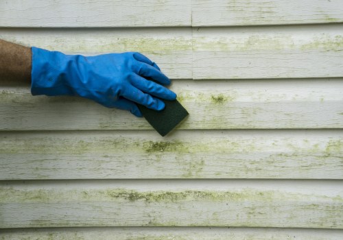 Frequency and Methods for Cleaning Siding: A Complete Guide