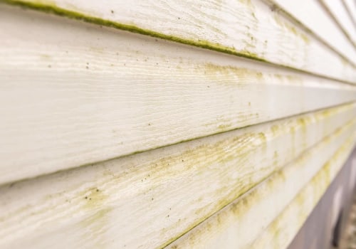 Identifying and Addressing Common Types of Damage to Siding